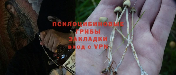 стафф Абдулино