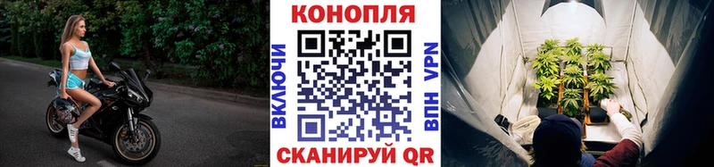 kraken Таштагол Каннабис сатива купить закладку